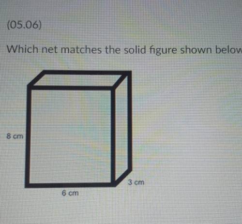 Which net matches the solid figure shown below? ​