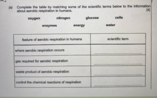 Complete the table by matching some of the scientific terms below to the information about aerobic