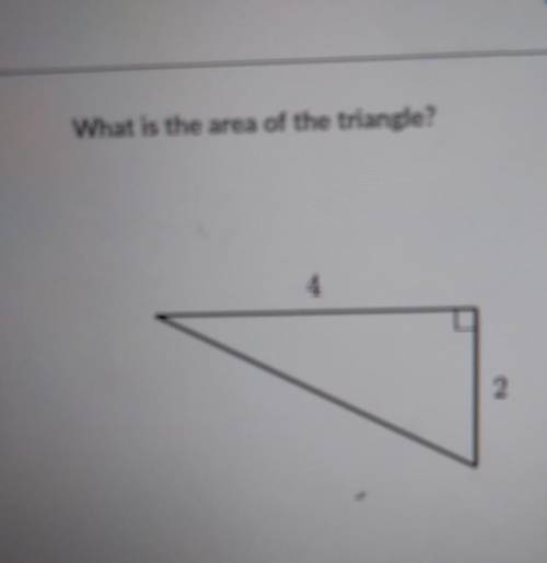 What is the area of the triangle ​