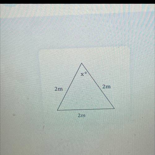 Geometry help pleas e