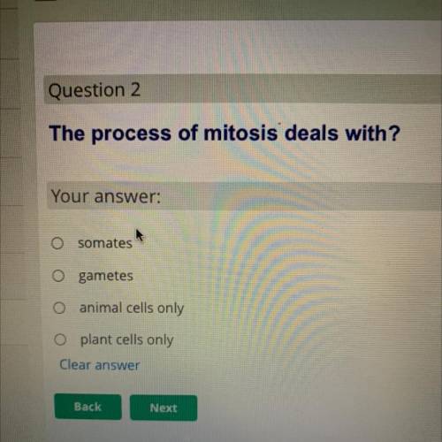 The process of mitosis deals with?
Will mark brainliest