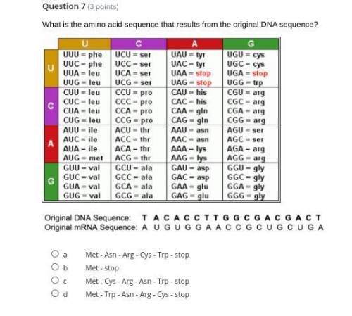 What is the amino acid sequence that results from the original DNA sequence?
