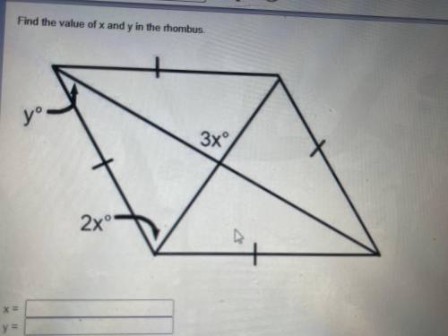 Find the value of x and y in the rhombus.