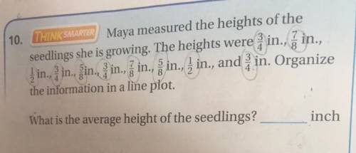 10. THINK SMARTER) Maya measured the heights of the

seedlings she is growing. The heights were in