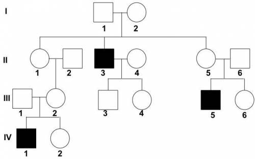 What type of pedigree is this