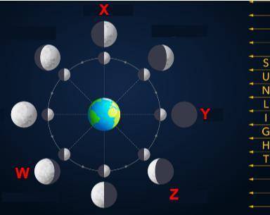 ILL MARK U AS BRAINLIEST PLEASE ANSWER ASSAP

The diagram below shows the Earth, Sun, and Moon sys
