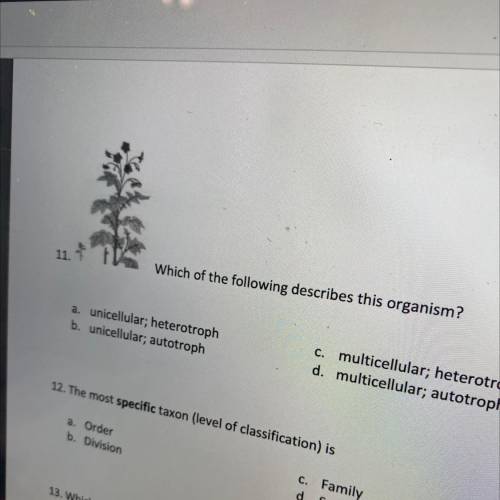 What is the answer to this question 11