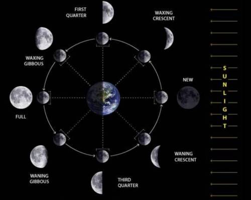 Describe the phases of the moon along with a picture.​