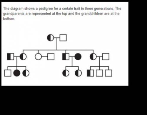 The diagram shows a pedigree for a certain trait in three generations. The grandparents are represe