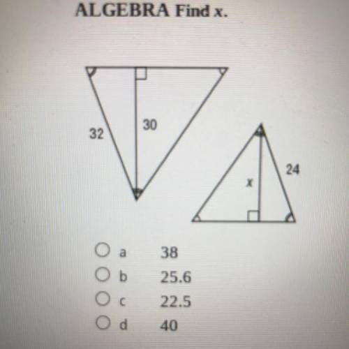 ALGEBRA Find x use the image below