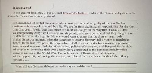 What did the German delegation leader say caused the war?