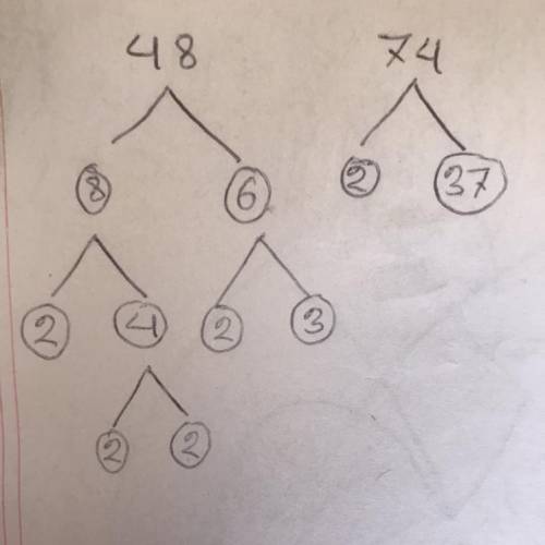 Factor tree of 74 and 48​