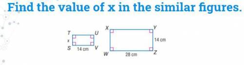 PLS HELP!! LOOK AT PICTURE!
Find the value of x in the similaur figures.