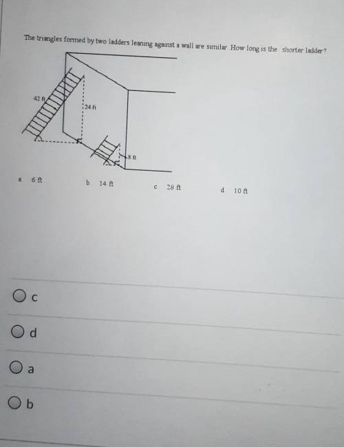 The triangles formed by two ladders leaning against a wall are similar. How long is the shorter lad