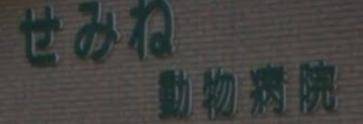 What does this say and in what language does it say it in?
