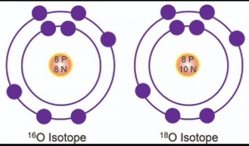 Atoms of oxygen-16, oxygen-17 and oxygen-18 are isotopes. Compare and contrast these three isotopes.