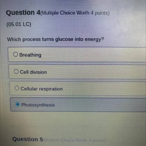 Question 4(Multiple Choice Worth 4 points)

(05.01 LC)
Which process turns glucose into energy?
O