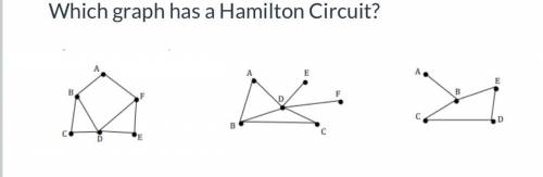 Which graph has a hamilton circuit?