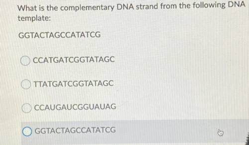 What is the complementary DNA strand from the following DNA

template:
GGTACTAGCCATATCG
A- CCATGAT