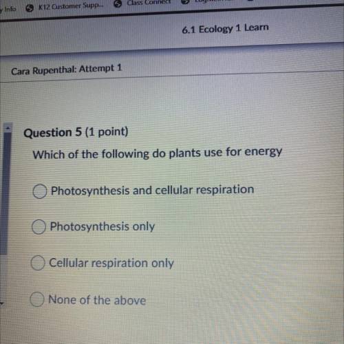 Which of the following do plants use for energy?