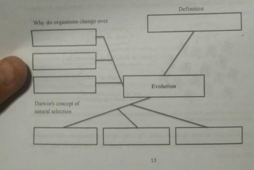 Directions: complete the concept of definition map related to the word in the middle of the map​ he