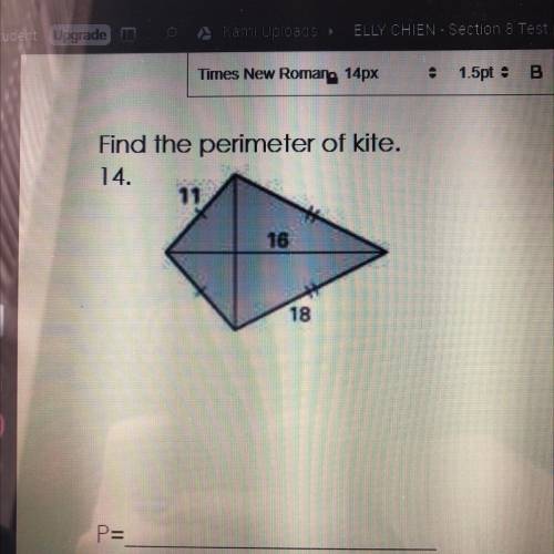Find the perimeter of the kite