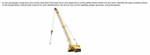 In one paragraph, using your own words, describe if the input force and output force of the pulley