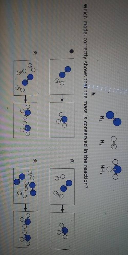 nitrogen gas (N2) reacts with hydrogen gas (H2) to form ammonia gas (NH3) models of the molecules a