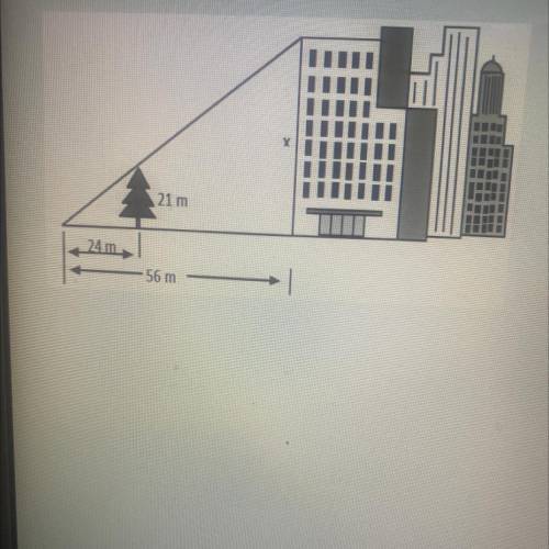 Find the height of the building, X.