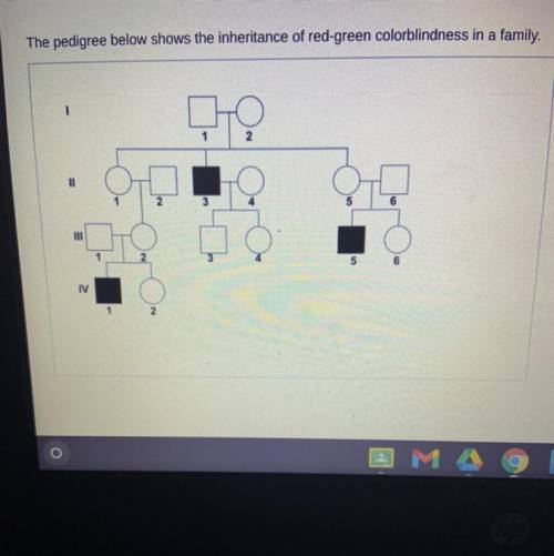 What is the genotype of all the shaded individuals?
A XHXH
B xHxh
C XHY
D XhY