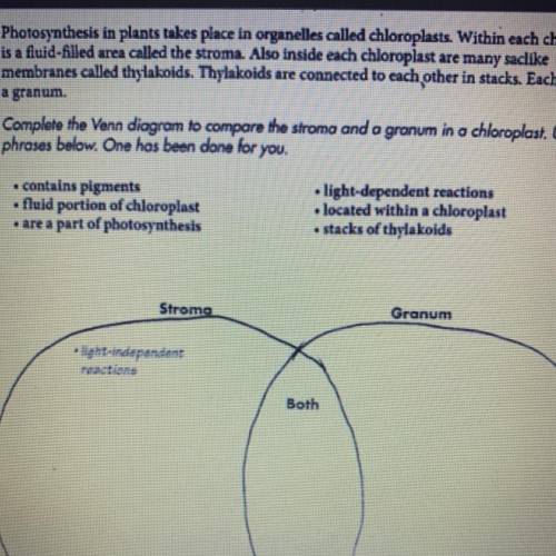 Biology VennDiagram for Photosynthesis