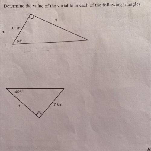 What is the answer show work please I need help