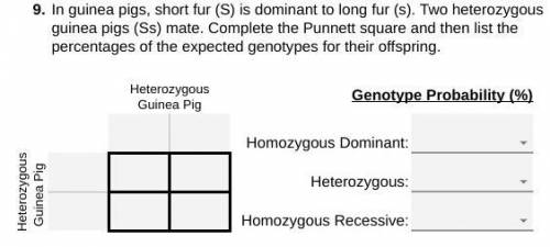 This is about Punnett Square Practice (Genetics)