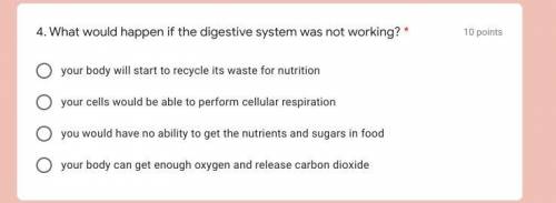 What would happen if the digestive system was not working?