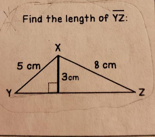 Find the length of YZ