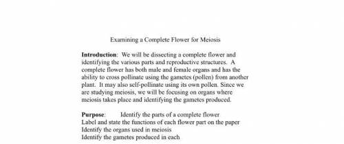A good hypothesis for flower meiosis lab