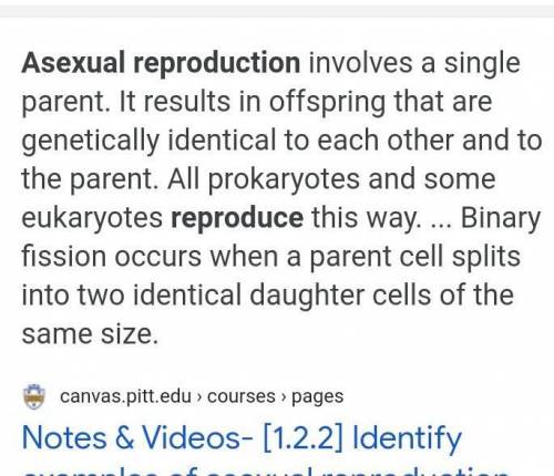 Summary of Asexual reproduction