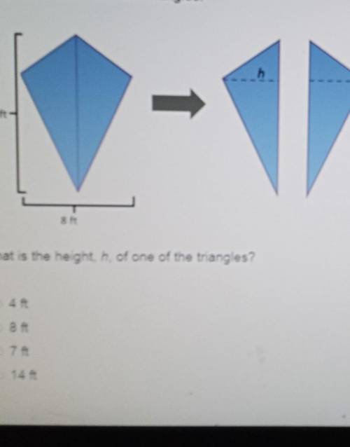 A kite was broken into two triangles. PLEASE HELP ASAP ​