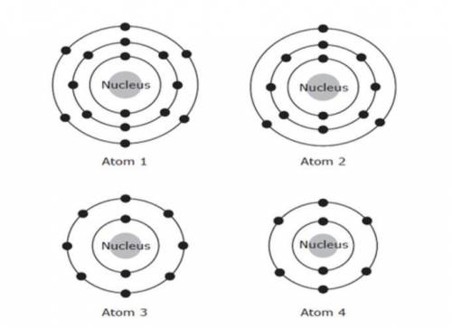 A student is studying the ways that different elements are similar to one another. Diagrams of atom