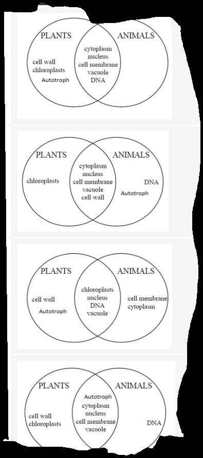 Which Venn diagram most accurately compares and contrasts plant and animal cells?