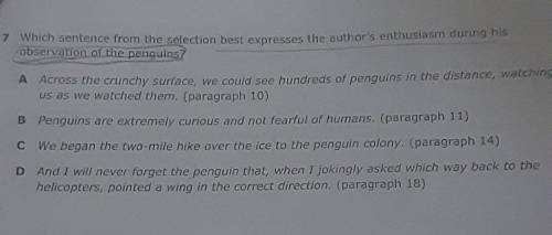 Which sentence best expresses the author's enthusiasm durning his observation of the penguins?​