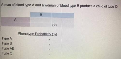 Non-Mendelian genetics practice.