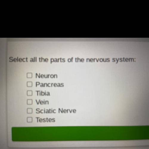 Select all the parts of the nervous system:

Neuron
Pancreas 
Tibia 
Vein
Sciatic Nerve 
Testes