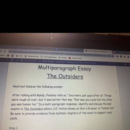 Can someone please write my outsiders essay please????