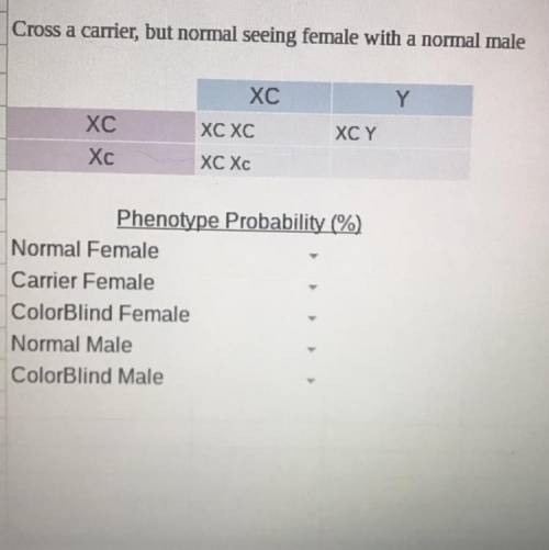 Non-Mendelian genetics practice. 
Cross a carrier, but normal seeing female with a normal male.