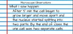 In science class, a student was asked to observe an unknown sample under a microscope and to take n
