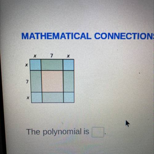 Write a polynomial that represents the area of the square