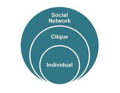 PLZ HELP NOW

According to this diagram, which statement best describes cliques?Cliques include so