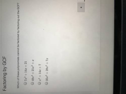 I need the correct answer please help