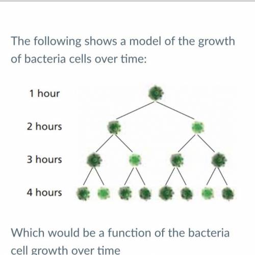 The following shows a model of the growth of bacteria cells over time:

1 hour
2 hours
3 hours
4 h